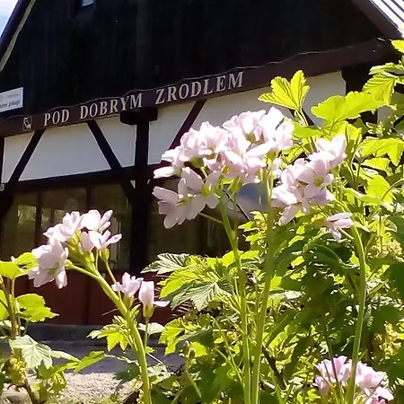 Pod Dobrym Zrodlem